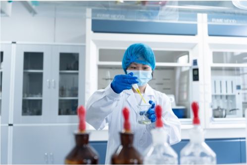 全產業鏈鑄就卓越品質，一站式服務賦能共贏未來——康西爺食品的技術服務之道